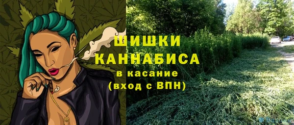 дурь Белокуриха