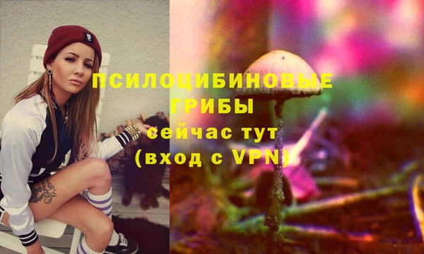 гидропоника Беломорск