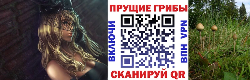 Псилоцибиновые грибы Magic Shrooms  Невьянск 